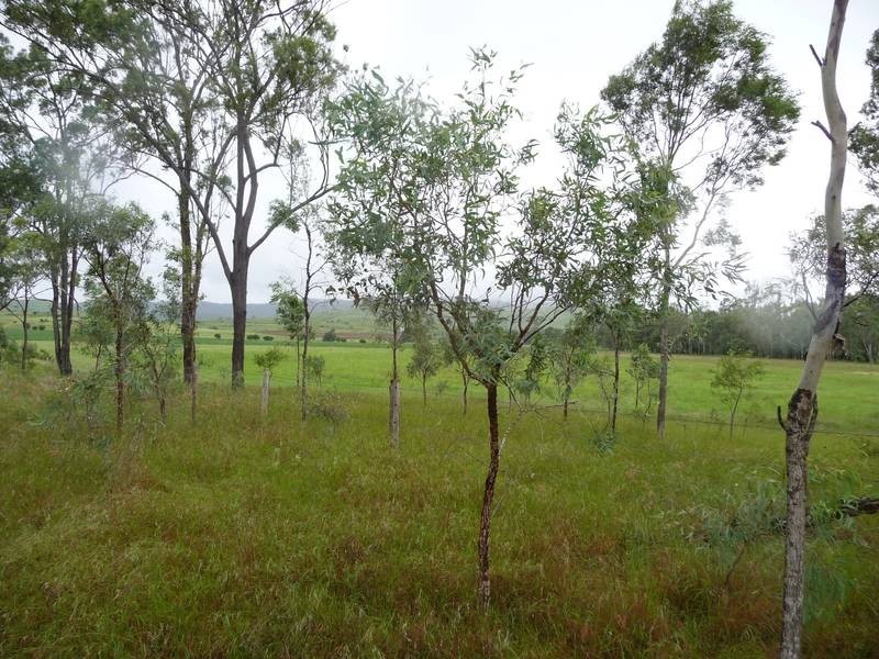 Lot A,  QUEEN STREET, Dallarnil QLD 4621