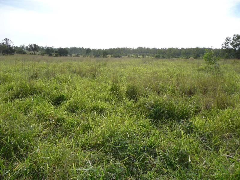 Lot 188, A GLENBAR ROAD, Tiaro QLD 4650