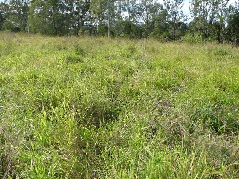 Lot 188, A GLENBAR ROAD, Tiaro QLD 4650