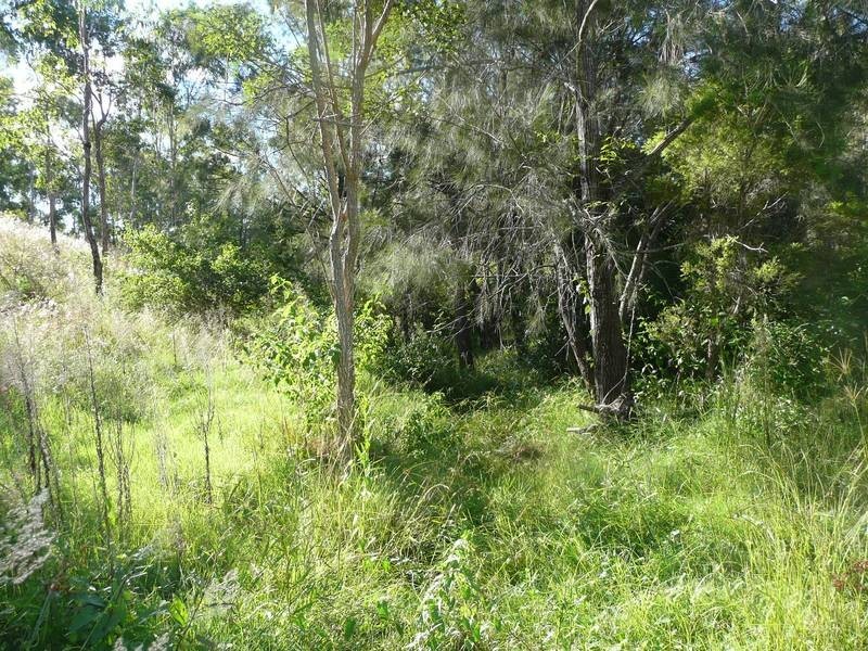 Dallarnil QLD 4621