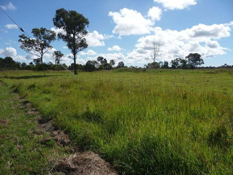 Buxton QLD 4660