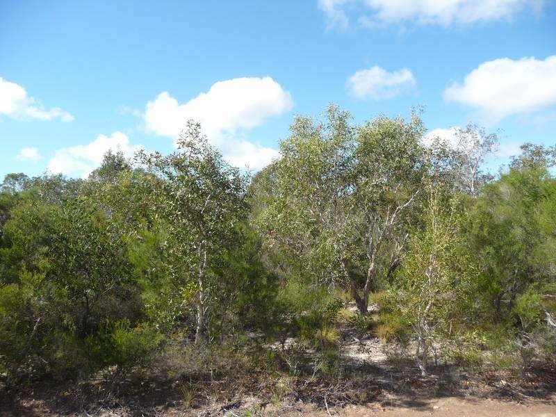 212 Pioneer Road, Buxton QLD 4660