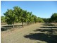 Wallaville QLD 4671