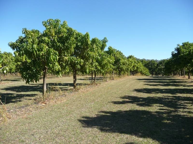 Wallaville QLD 4671