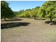 Wallaville QLD 4671