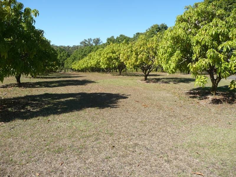 Wallaville QLD 4671