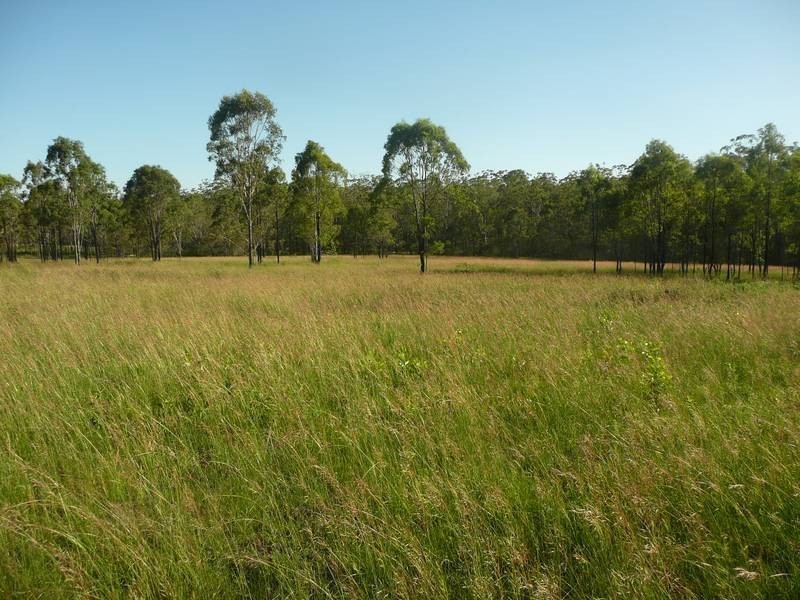 Lot 20, 21, 22,  Berthelsens, Svenssons & Rimac Roads, Booyal QLD 4671