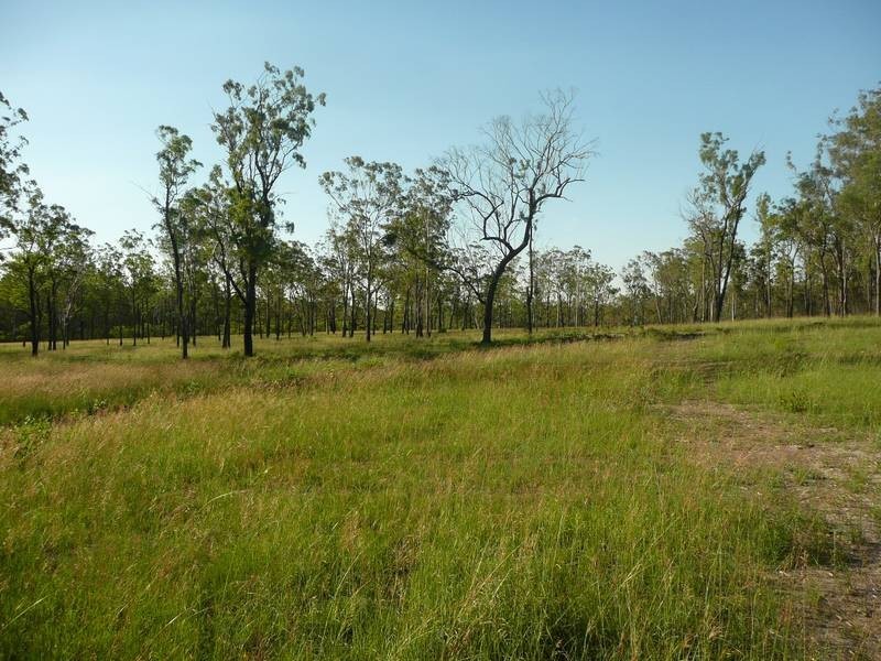 Lot 20, 21, 22,  Berthelsens, Svenssons & Rimac Roads, Booyal QLD 4671