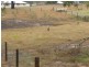16 WALLACE STREET, Apple Tree Creek QLD 4660