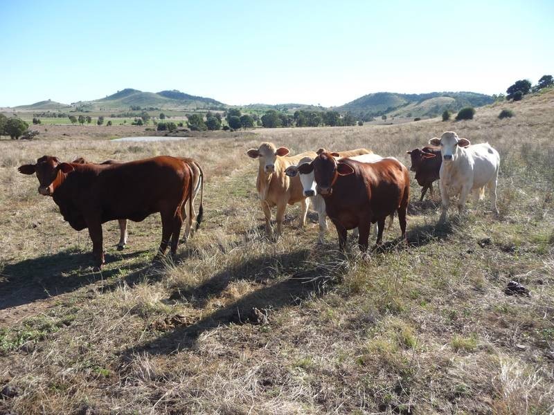 Coalstoun Lakes QLD 4621