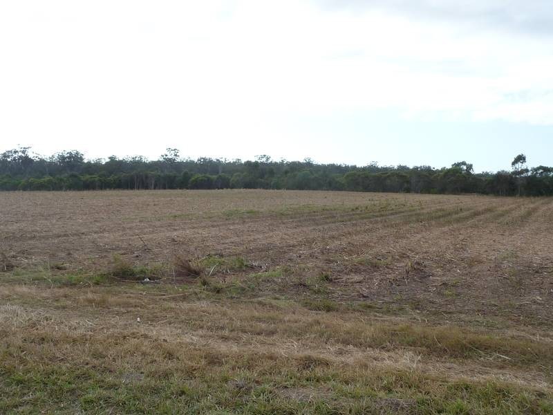 1123 FARNSFIELD ROAD, FARNSFIELD, Childers QLD 4660