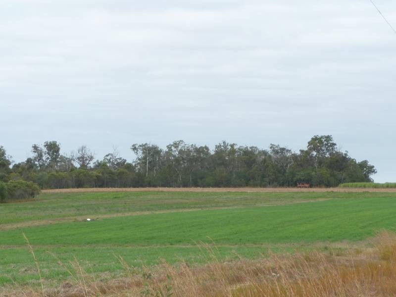 1123 FARNSFIELD ROAD, FARNSFIELD, Childers QLD 4660