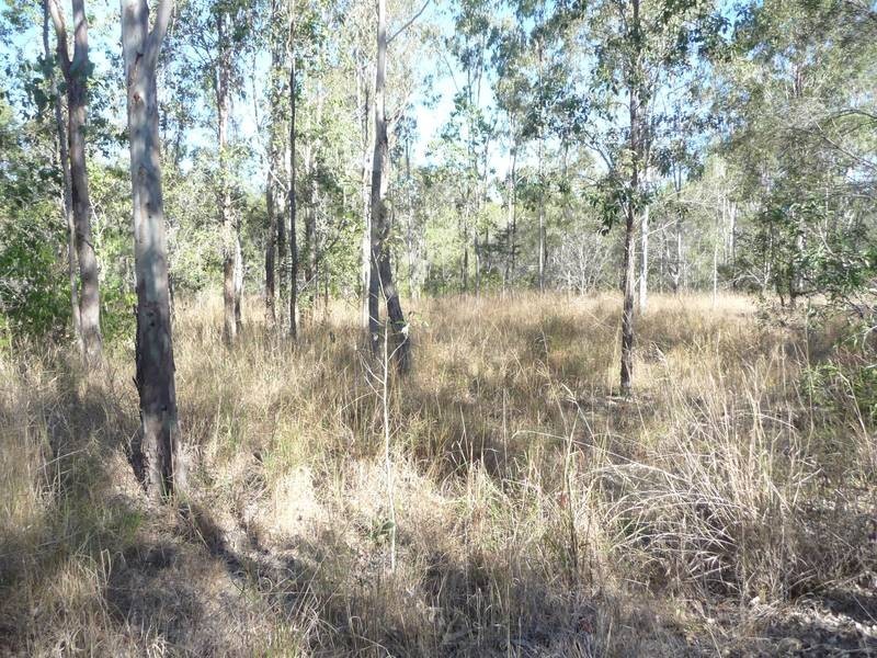 Good Night QLD 4671