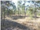 Good Night QLD 4671