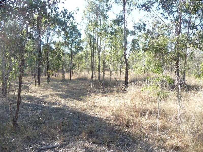 Good Night QLD 4671