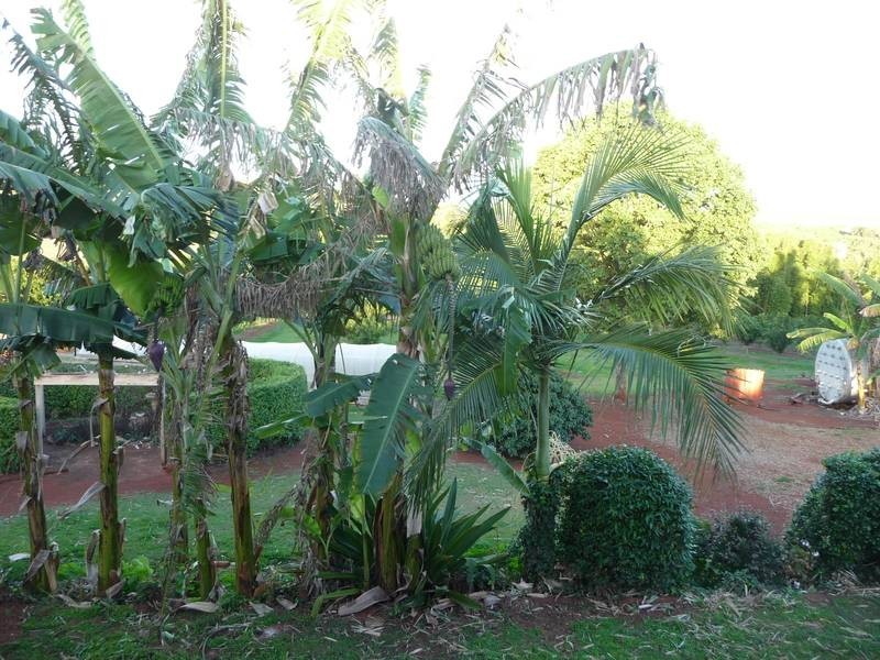 Childers QLD 4660