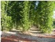 Childers QLD 4660