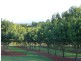 Childers QLD 4660