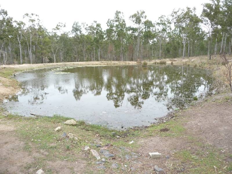 Apple Tree Creek QLD 4660