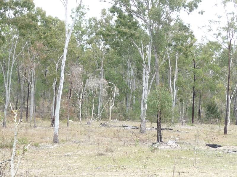 Apple Tree Creek QLD 4660
