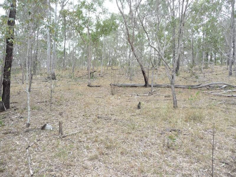 Apple Tree Creek QLD 4660