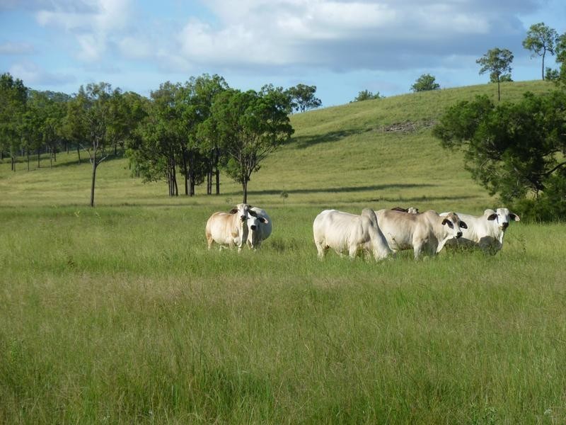 ISIS HIGHWAY, Coalstoun Lakes QLD 4621