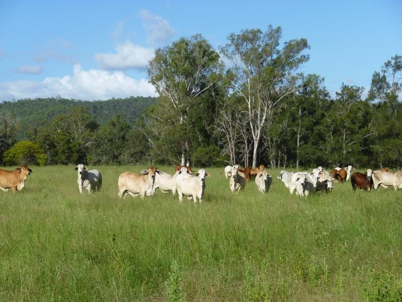 ISIS HIGHWAY, Coalstoun Lakes QLD 4621