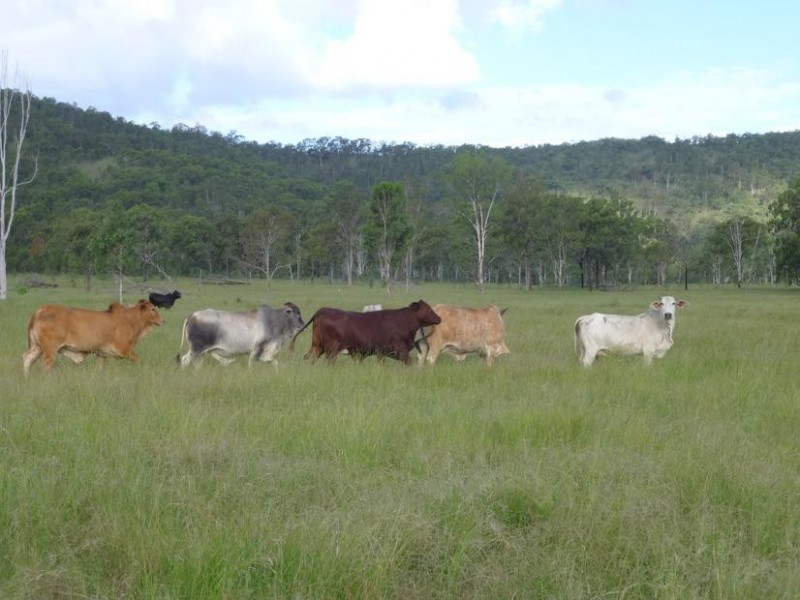ISIS HIGHWAY, Coalstoun Lakes QLD 4621