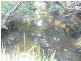 Childers QLD 4660