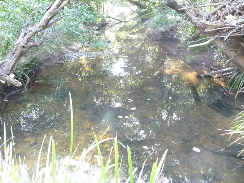 Childers QLD 4660