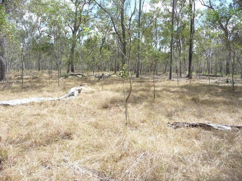 Isis River QLD 4660