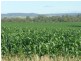 Mundubbera QLD 4626