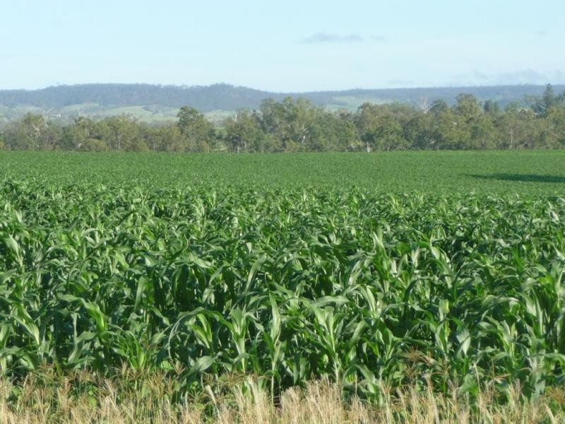 Mundubbera QLD 4626
