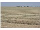 Mundubbera QLD 4626