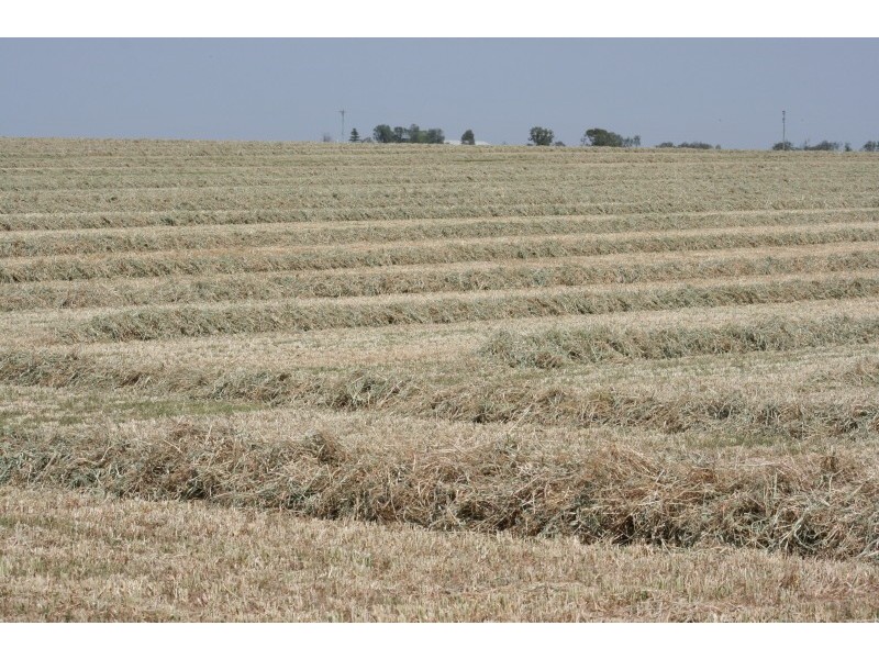 Mundubbera QLD 4626