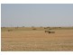 Mundubbera QLD 4626