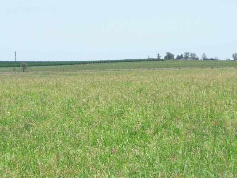Mundubbera QLD 4626