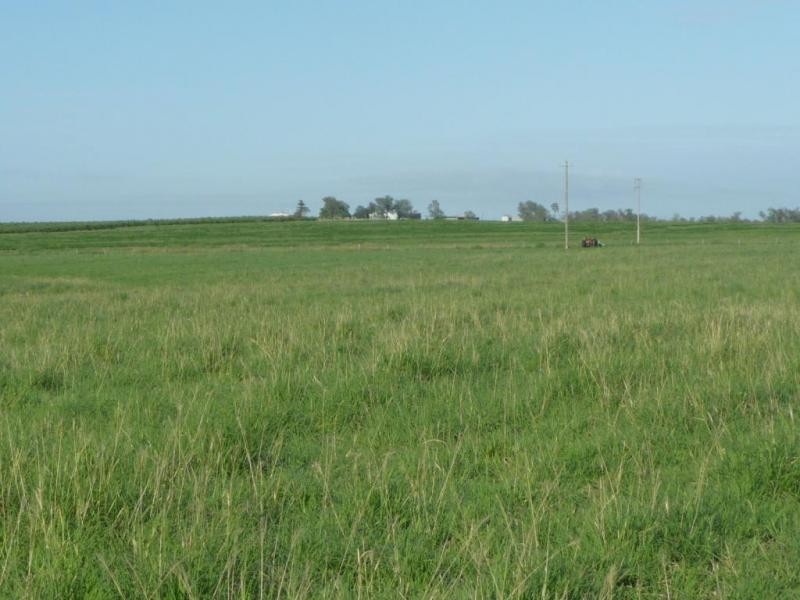 Mundubbera QLD 4626