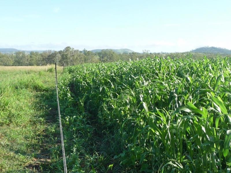 Mundubbera QLD 4626