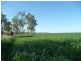 Mundubbera QLD 4626