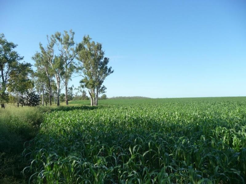 Mundubbera QLD 4626