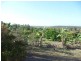 191 Abington Road, Abington QLD 4660