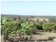 191 Abington Road, Abington QLD 4660
