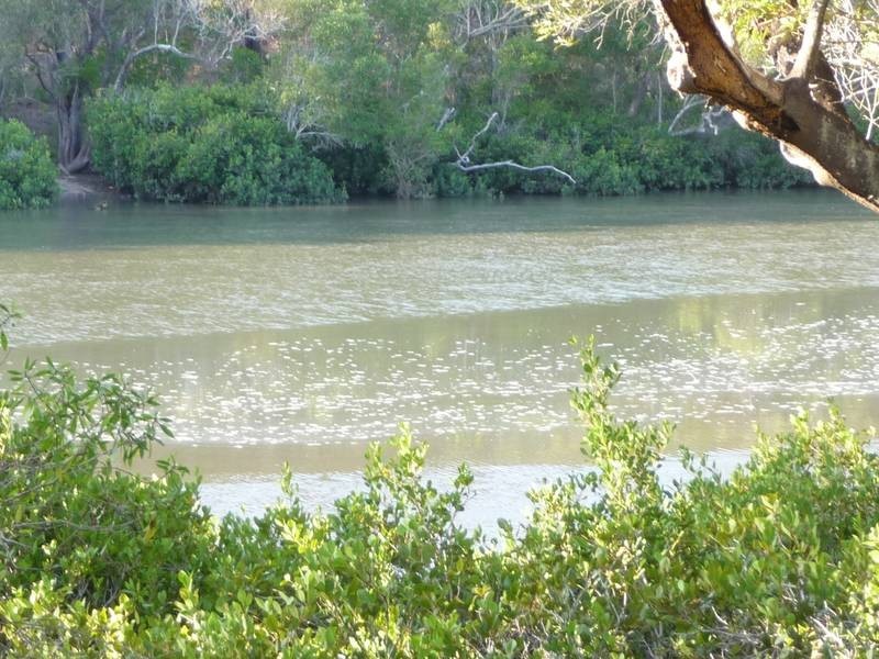 Lot 27,  DEVILS ELBOW ROAD, Buxton QLD 4660