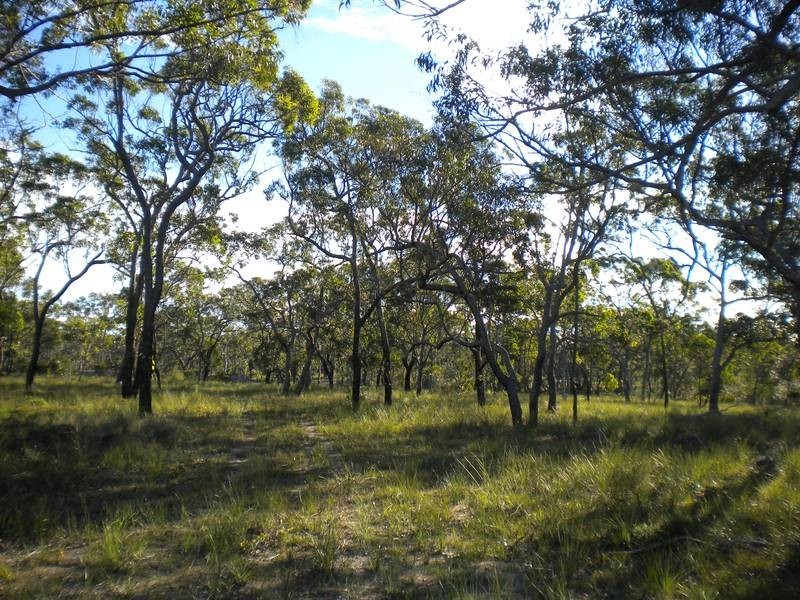 Lot 27,  DEVILS ELBOW ROAD, Buxton QLD 4660