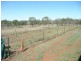 Apple Tree Creek QLD 4660