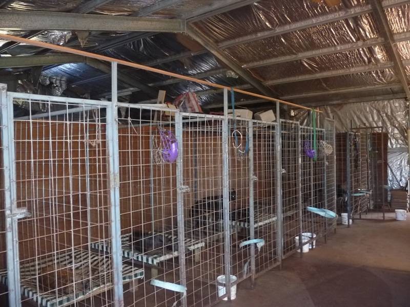 Apple Tree Creek QLD 4660