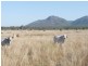 Biggenden QLD 4621