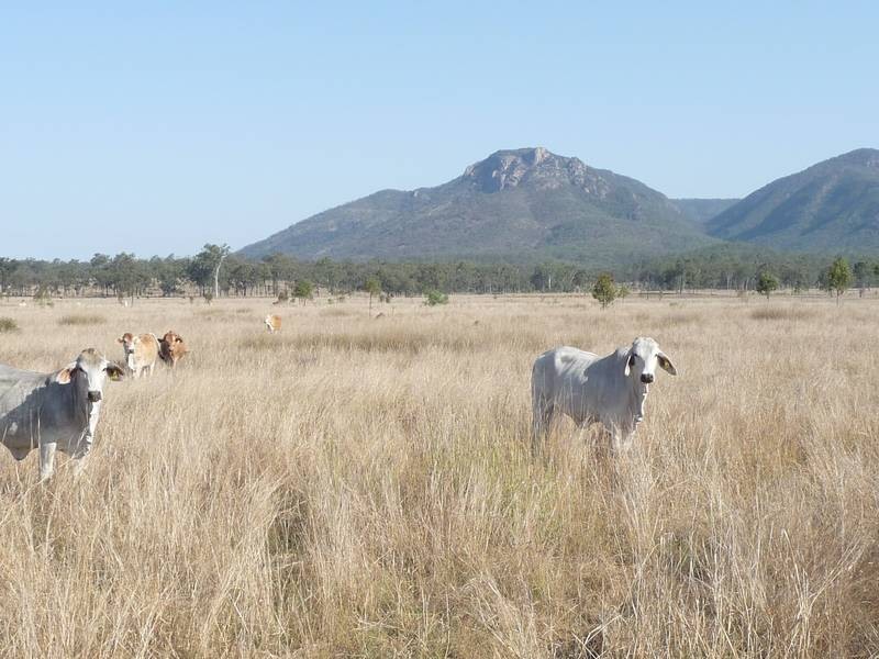 Biggenden QLD 4621