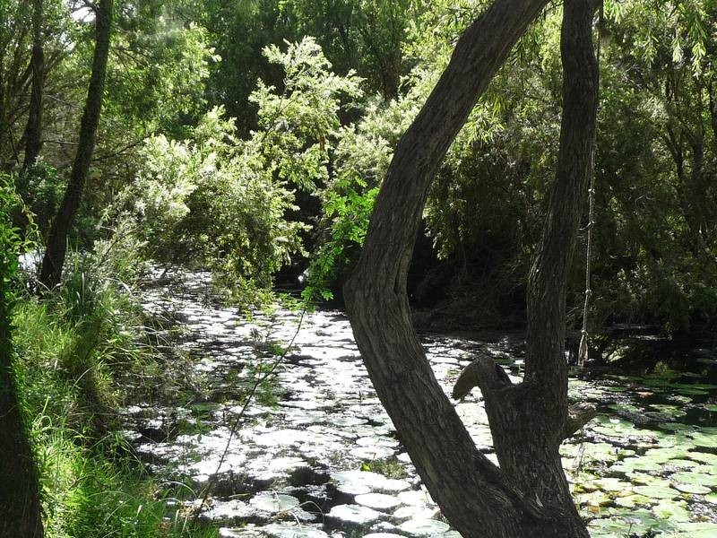 Biggenden QLD 4621